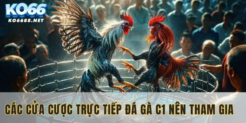 Các cửa đá gà C1