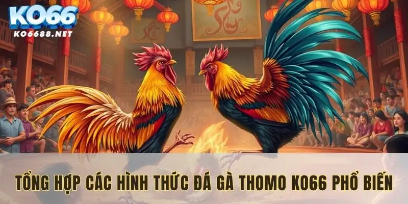 Các hình thức đá gà Thomo KO66