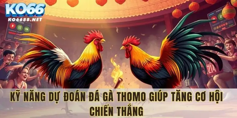 Cách dự đoán đá gà tăng cơ hội chiến thắng