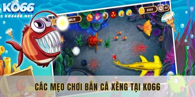 Cần tham khảo mẹo chơi bắn cá xèng tại nhà cái uy tín