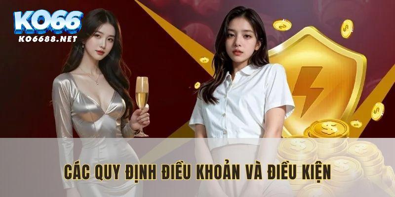 Bản điều khoản và điều kiện hiện hành mà người dùng cần tuân thủ