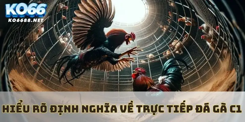Định nghĩa trực tiếp đá gà C1