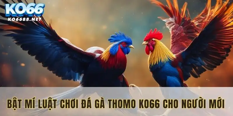 Luật chơi đá gà Thomo KO66
