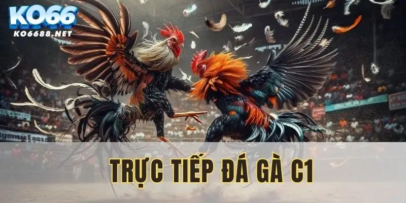 truc-tiep-da-ga-c1
